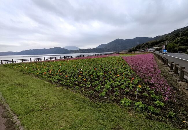 池田湖