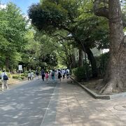 文化的な公園