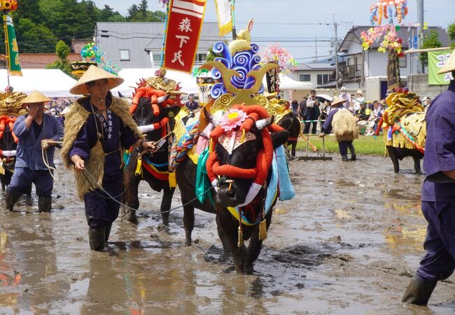 まさに一大スペクタクルとなっています