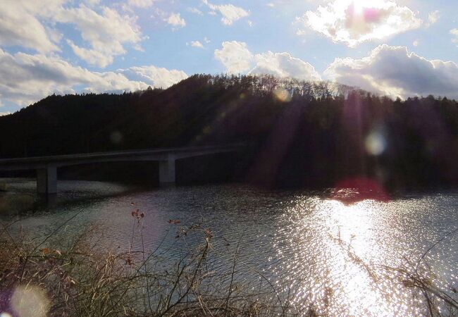 オシドリが見られました。