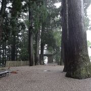 雨と霧がいい雰囲気のお寺