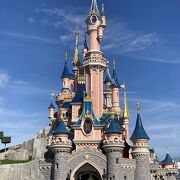 新品☆ディズニーランド いただい パリ限定☆オーナメント