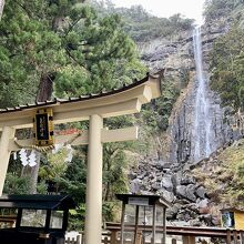 駐車場から少し下ると見れます