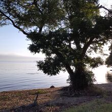 朝の公園散歩