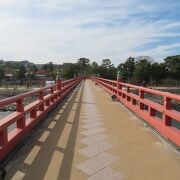 桜と宇治朝霧橋 | 写真 | アールクリエーション