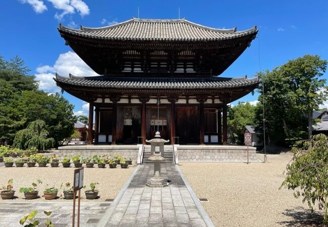 興福寺と東大寺 Neighborhood Information: Kofuku-ji Temple