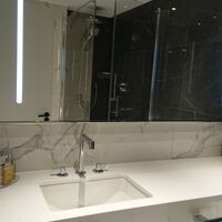 あっさりとしたウエットゾーン。シャワーのみ。