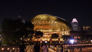 ドリアンのような形