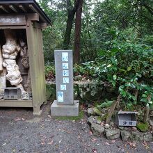 がん封じの椿・ご神木