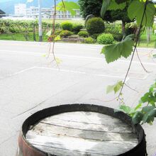 ワイン樽と葡萄