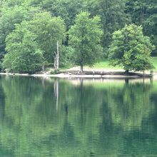 6月初めは、湖に映る緑も爽やか。