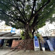 藍い街に藍いキャラ・台南の古民家リノベーションスポット