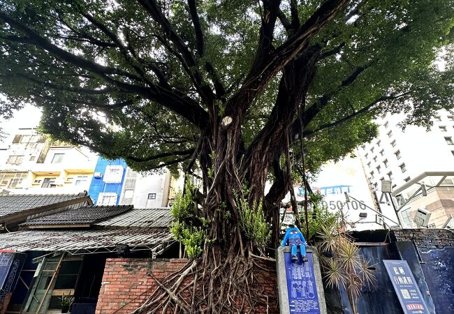 藍い街に藍いキャラ・台南の古民家リノベーションスポット