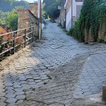 プリズレン城 (城塞跡)