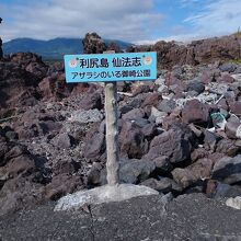 アザラシいません