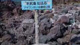 アザラシはいません！