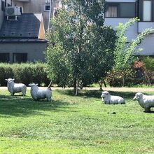 ベルモント公園の庭園風景