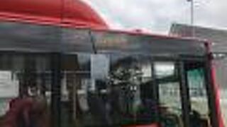 ビグドイ地区にはバス