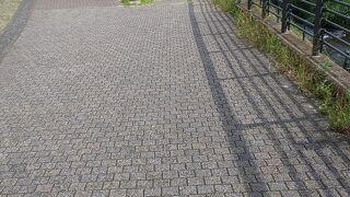 散歩がたのしい