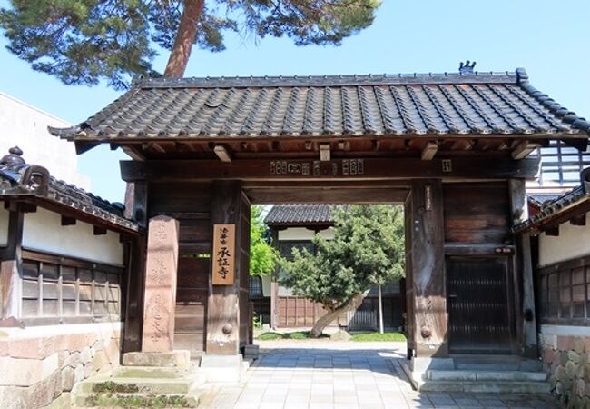 京都の本能寺の末寺だそうです