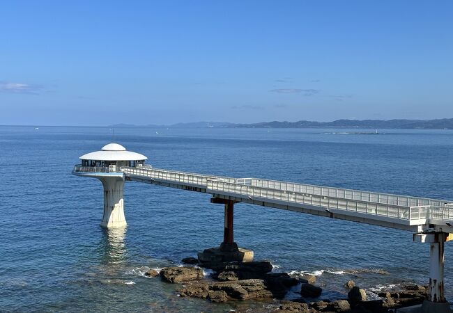 水深８ｍの海中を窓からのぞく