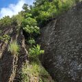 宍喰浦の化石漣痕