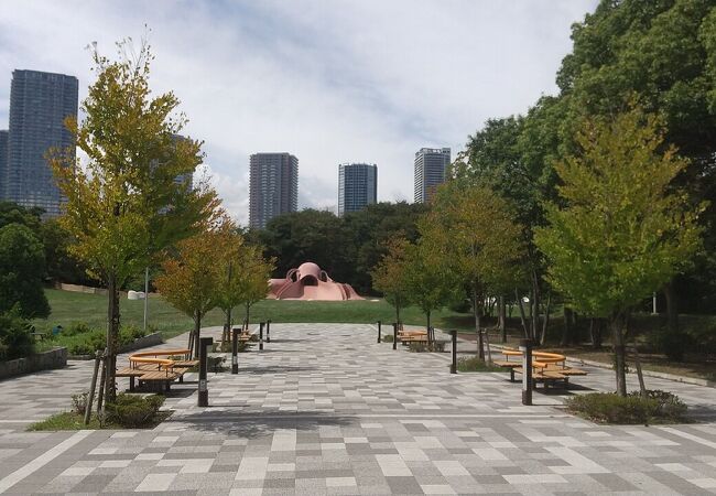 辰巳駅からすぐのとこにある辰巳の森緑道公園