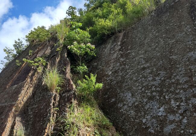 宍喰浦の化石漣痕