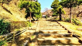 天源院