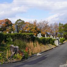 上野丘墓地公園