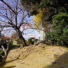 大友氏遺跡 (上原館)