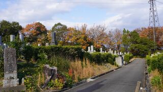 上野丘墓地公園