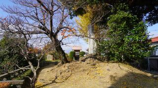 大友氏遺跡 (上原館)