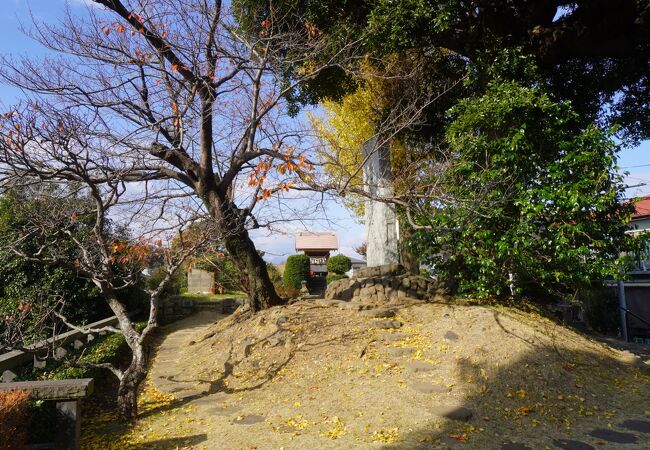 大友氏遺跡 (上原館)