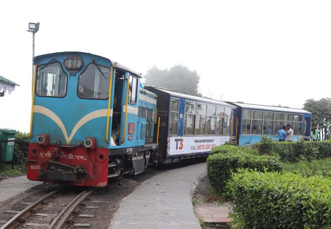 バタシアループ