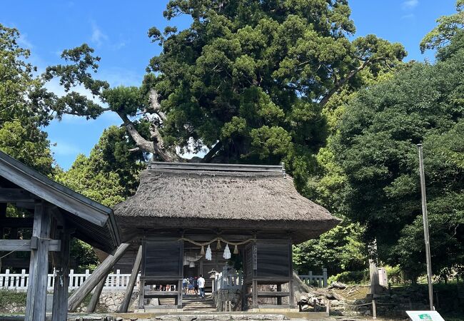 重要文化財目白押しの神社。