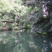 熊谷市の名勝で八木橋百貨店に程近い小さな庭園です