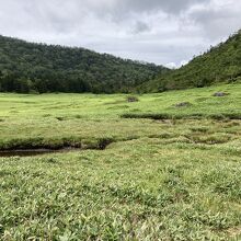 火口の湿原の七つ池