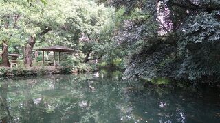 熊谷市の名勝で八木橋百貨店に程近い小さな庭園です