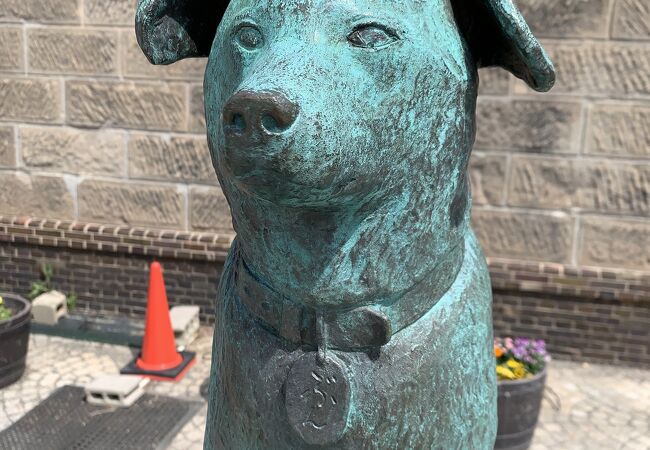 忠犬はち公より偉大な