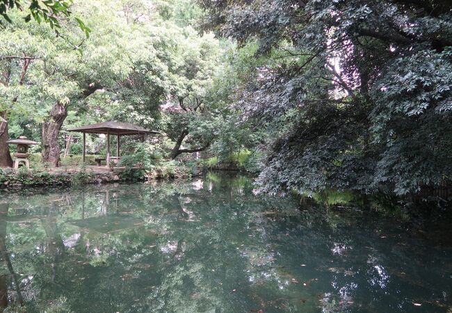 熊谷市の名勝で八木橋百貨店に程近い小さな庭園です