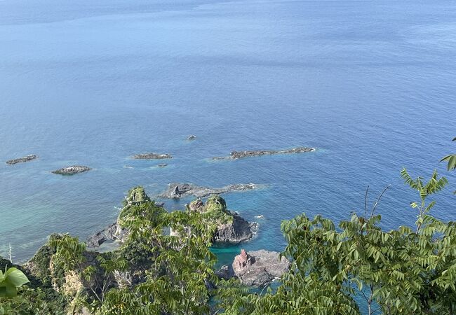 白島海岸にある島。