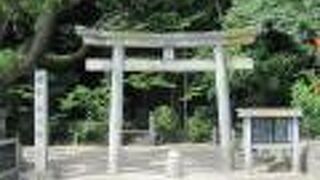 階段の上に社殿が建っています