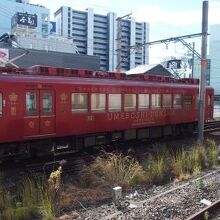 貴志川線のうめぼし電車