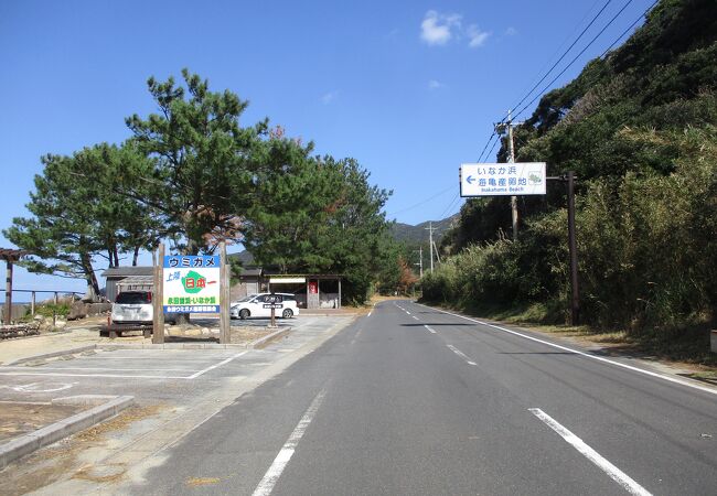 永田浜（いなか浜・前浜・四ツ瀬浜）