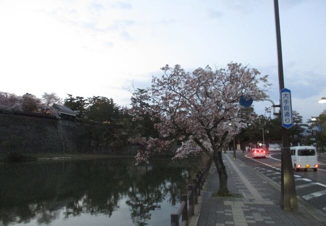 春の城山公園