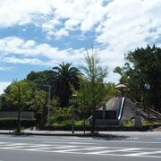 蒸気機関車や路面電車が展示されている公園