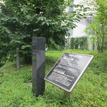 泉鏡花旧居跡 北原白秋旧居跡