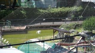 和歌山城公園動物園