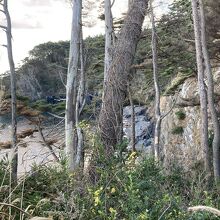 三陸海岸